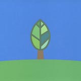 北海道の四季－夏